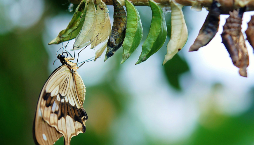 from-couch-to-confident-real-transformations-that-inspire