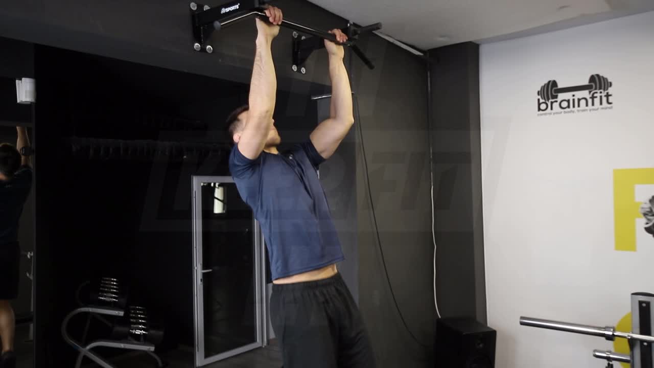 Modified Front Lever