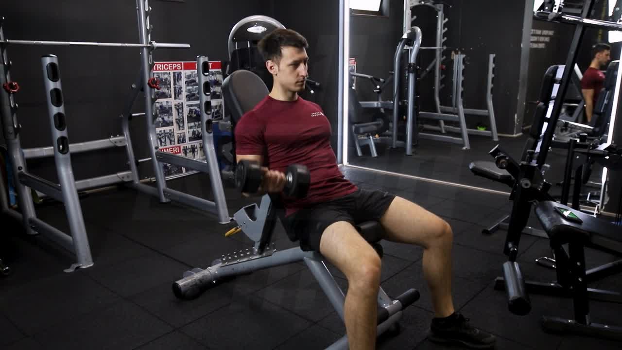 Alternating Incline Dumbbell Biceps Curl