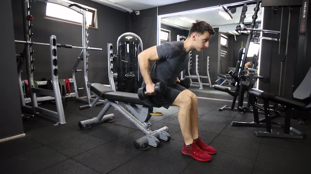 Seated Dumbbell Row