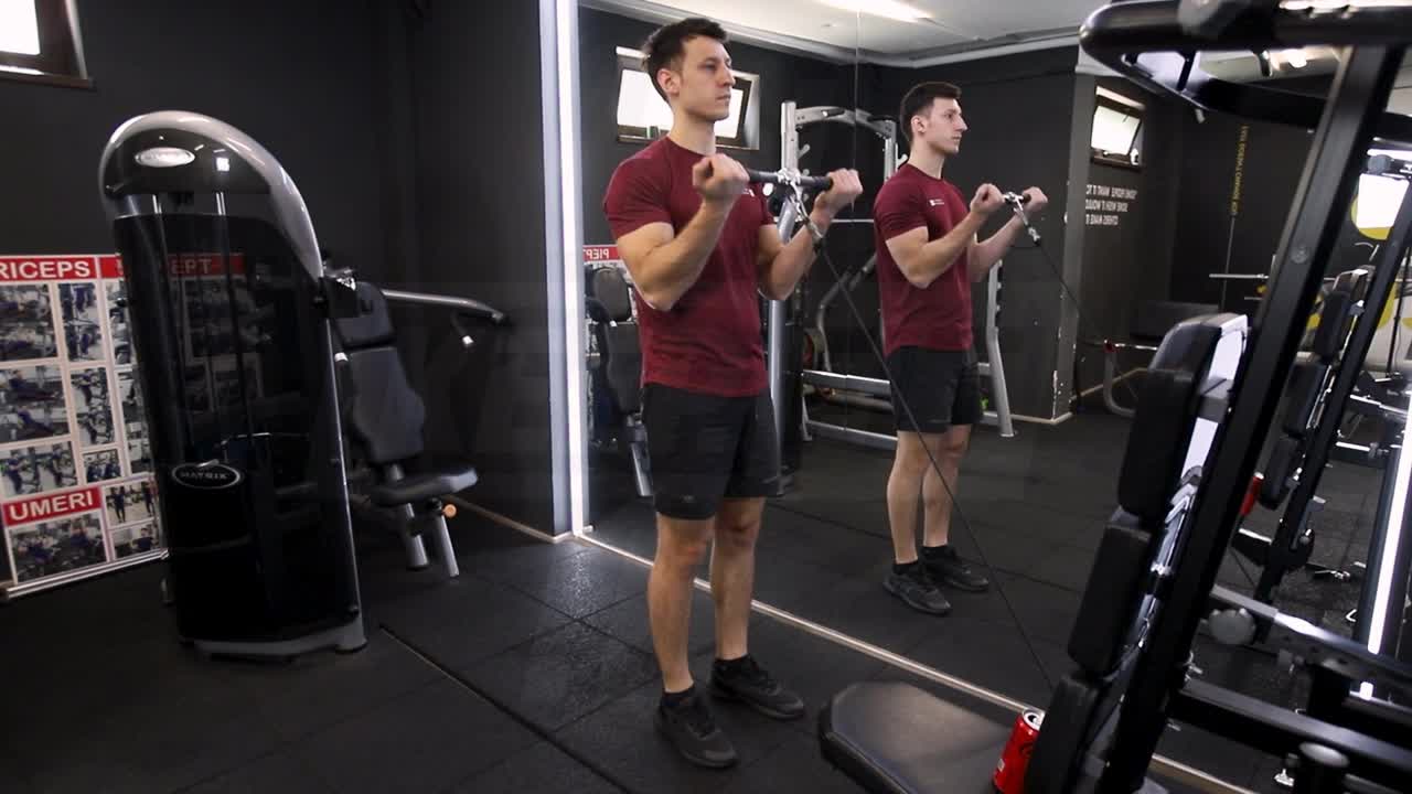 Cable Biceps Curl