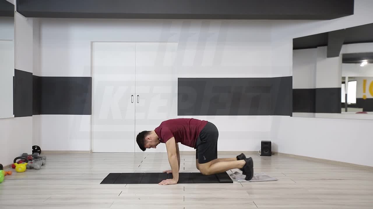Towel Plank And Knee-In