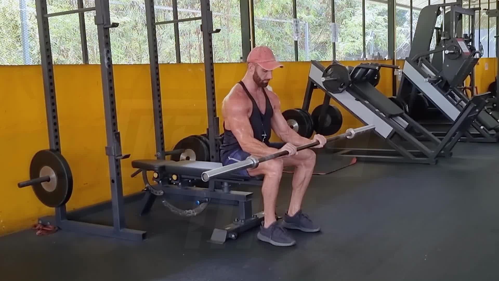 Barbell Reverse Wrist Curl