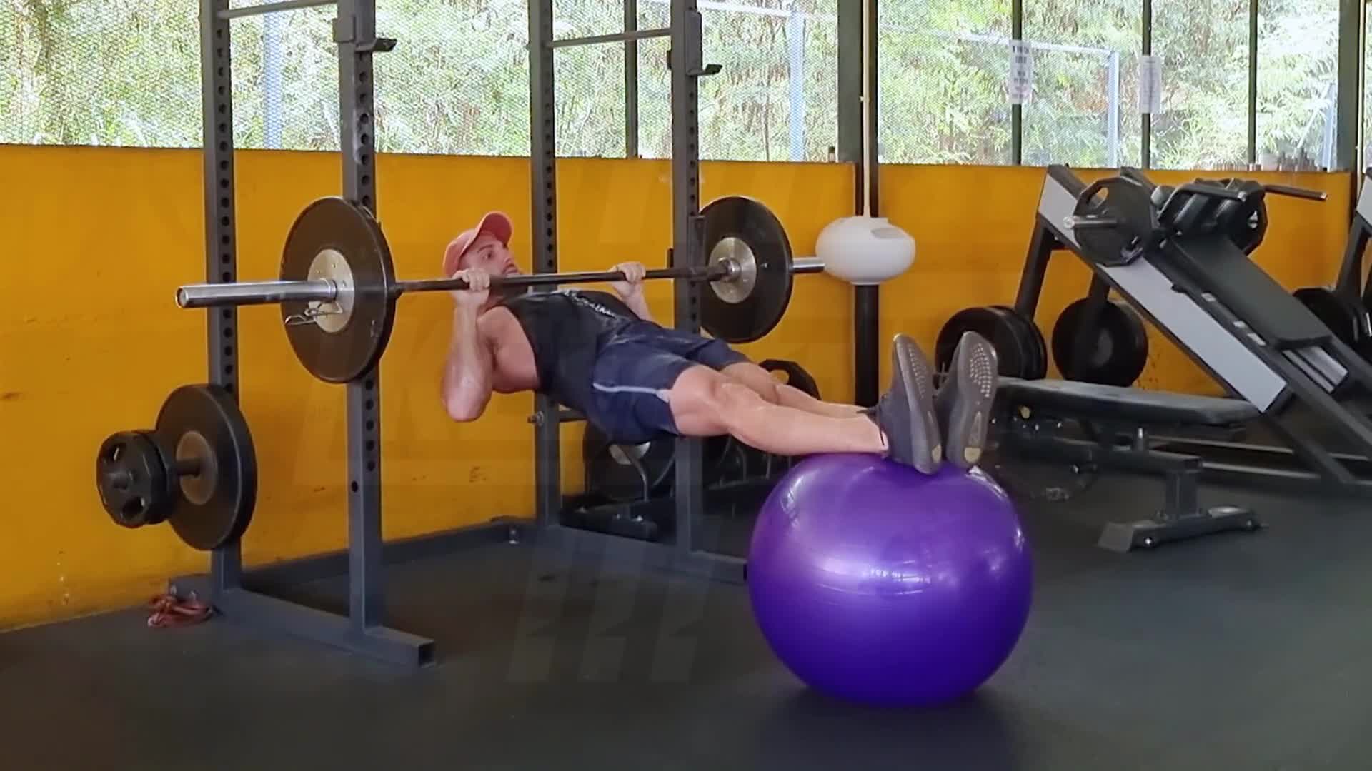Inverted Row With Feet On Swiss Ball