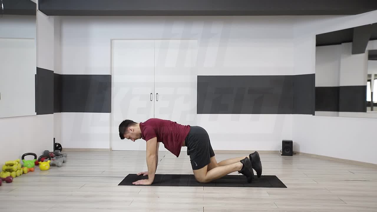 Quadruped With Leg Lift