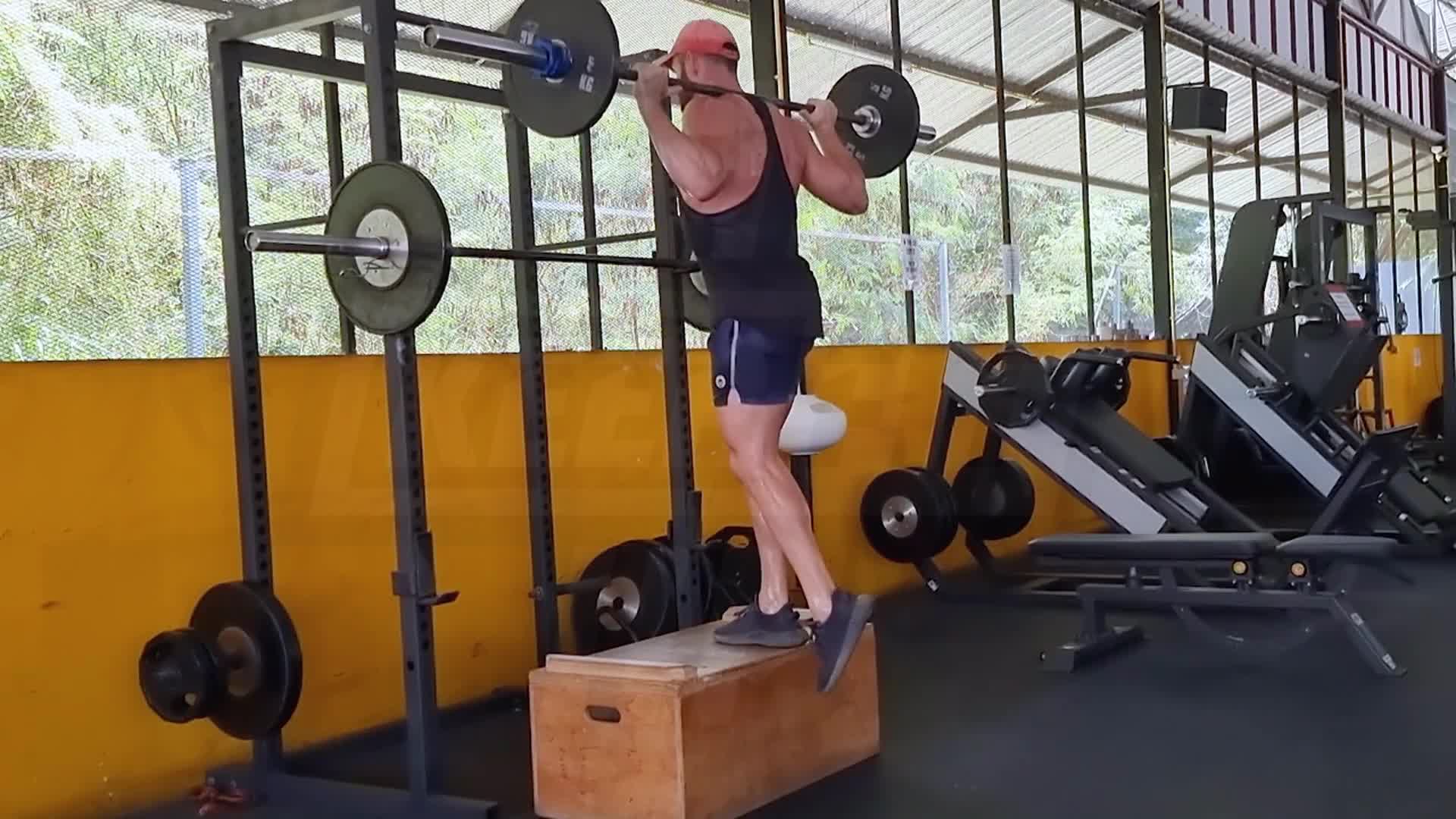 Barbell Step-Up
