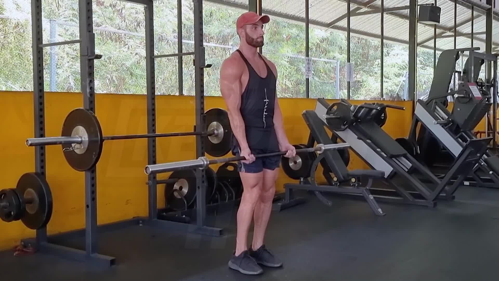 Static Curl