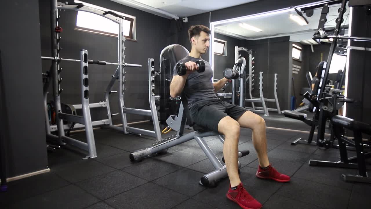 Seated Reverse Dumbbell Curl