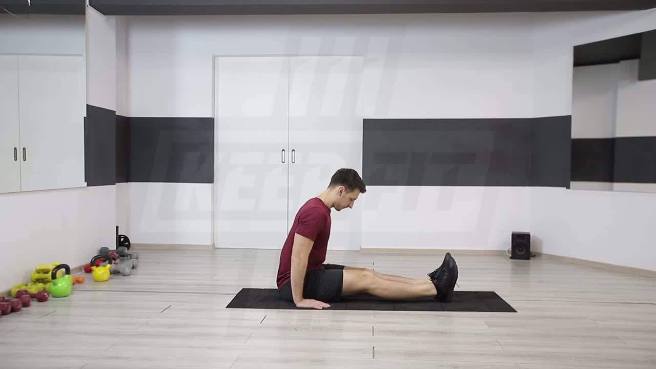 Reverse Plank Hover