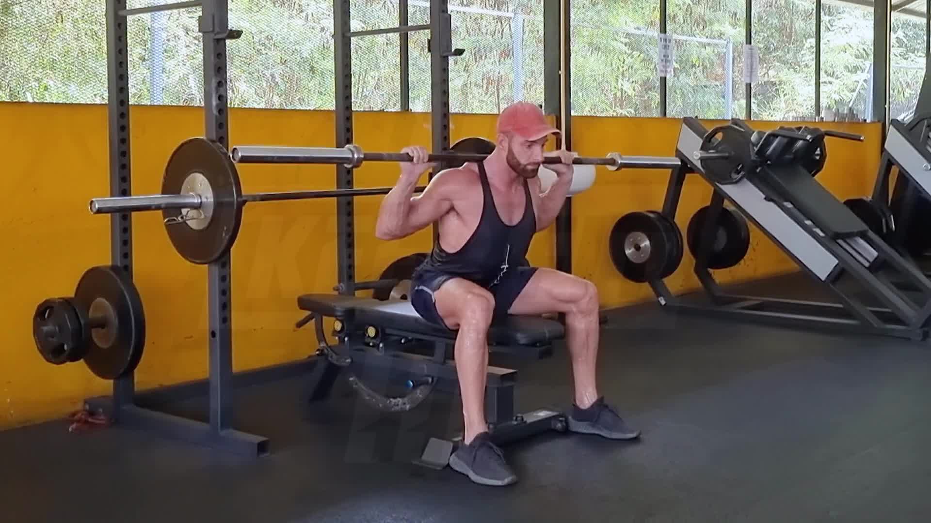 Seated Barbell Good Morning