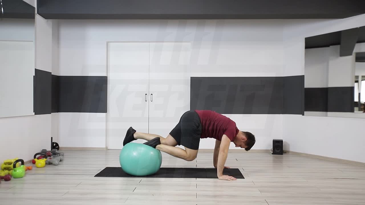Single-Leg Swiss Ball Jackknife