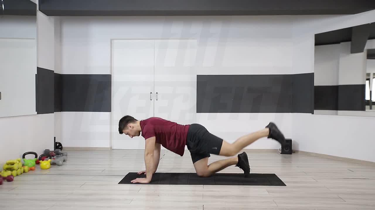 Quadruped Leg Raise