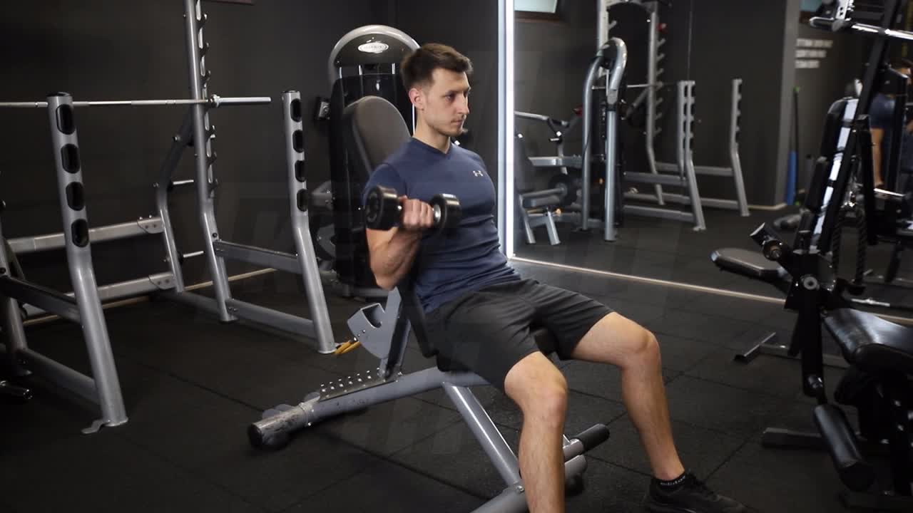 Seated Alternating Dumbbell Biceps Curl