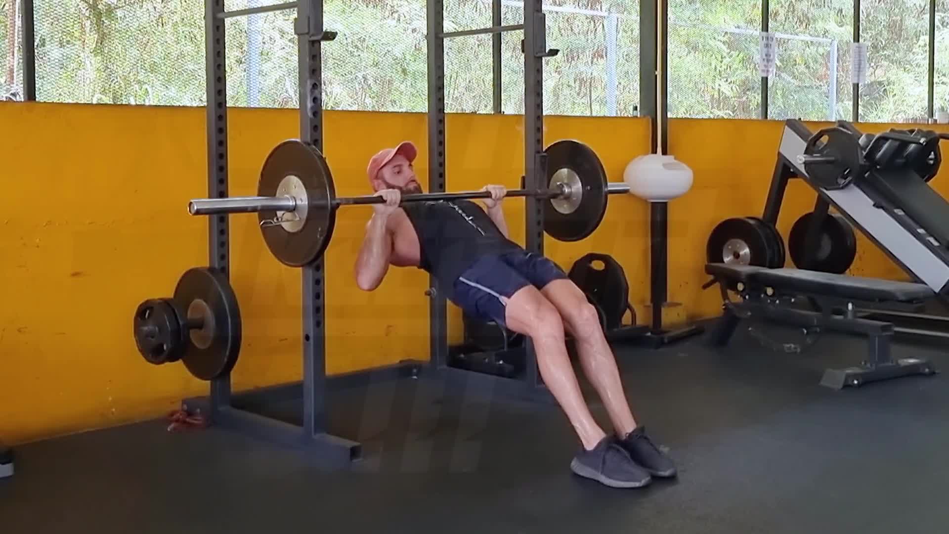 Inverted Row