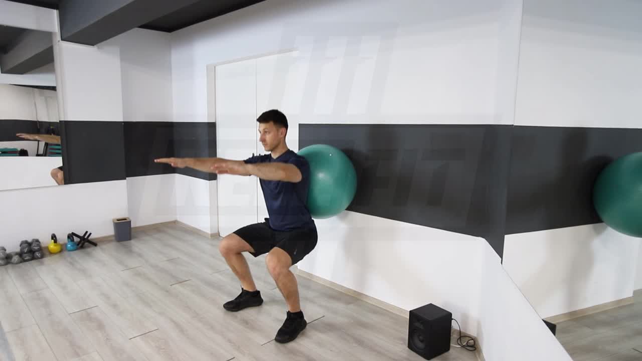 Swiss Ball Bodyweight Wall Squat