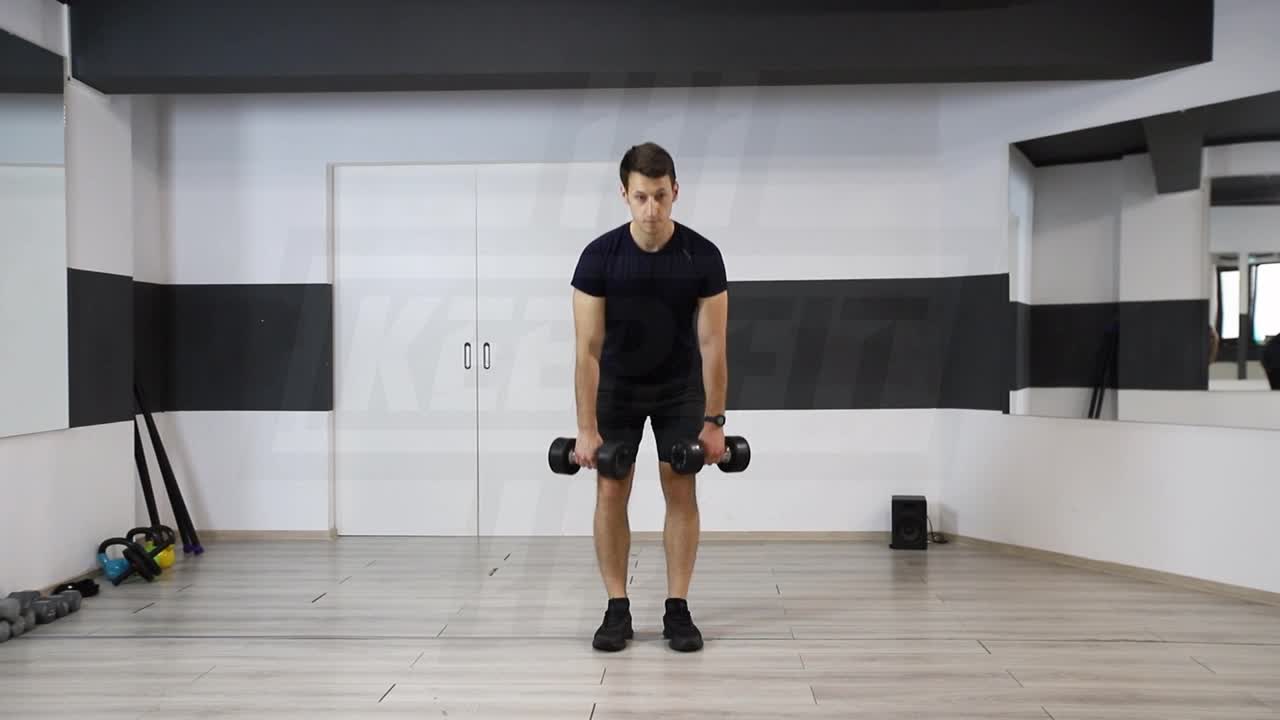 Dumbbell Hang Pull